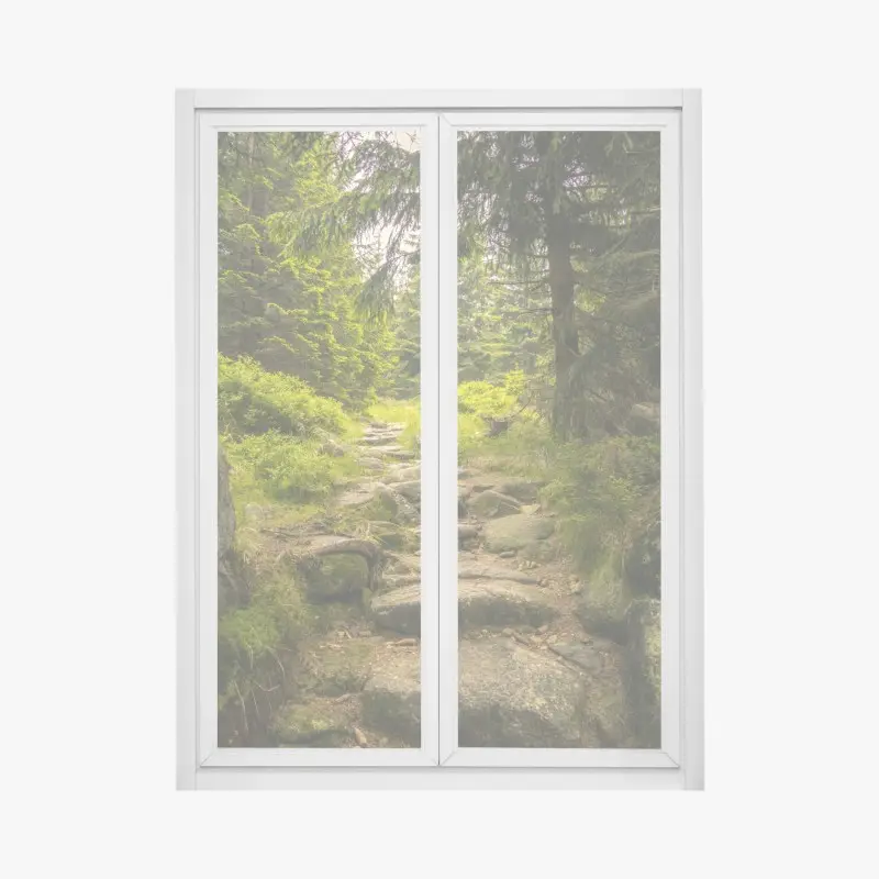 Fensteraufkleber ruhiger waldweg durch nadelwald