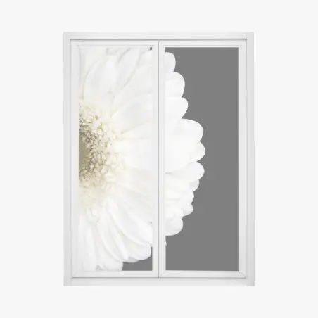 Fensteraufkleber weiße gerbera auf schwarzem hintergrund minimalistische nahaufnahme – Pixers®