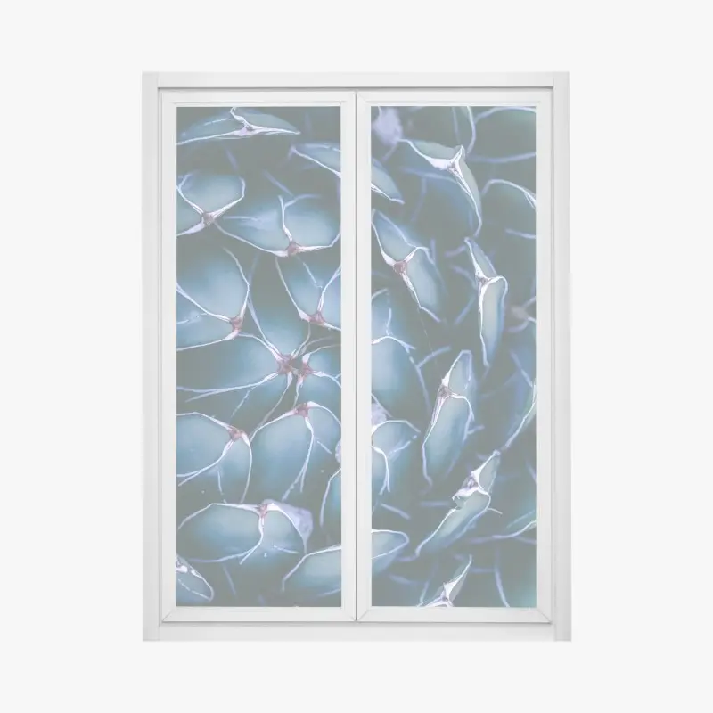 Fensteraufkleber geometrische makroaufnahme türkiser sukkulente