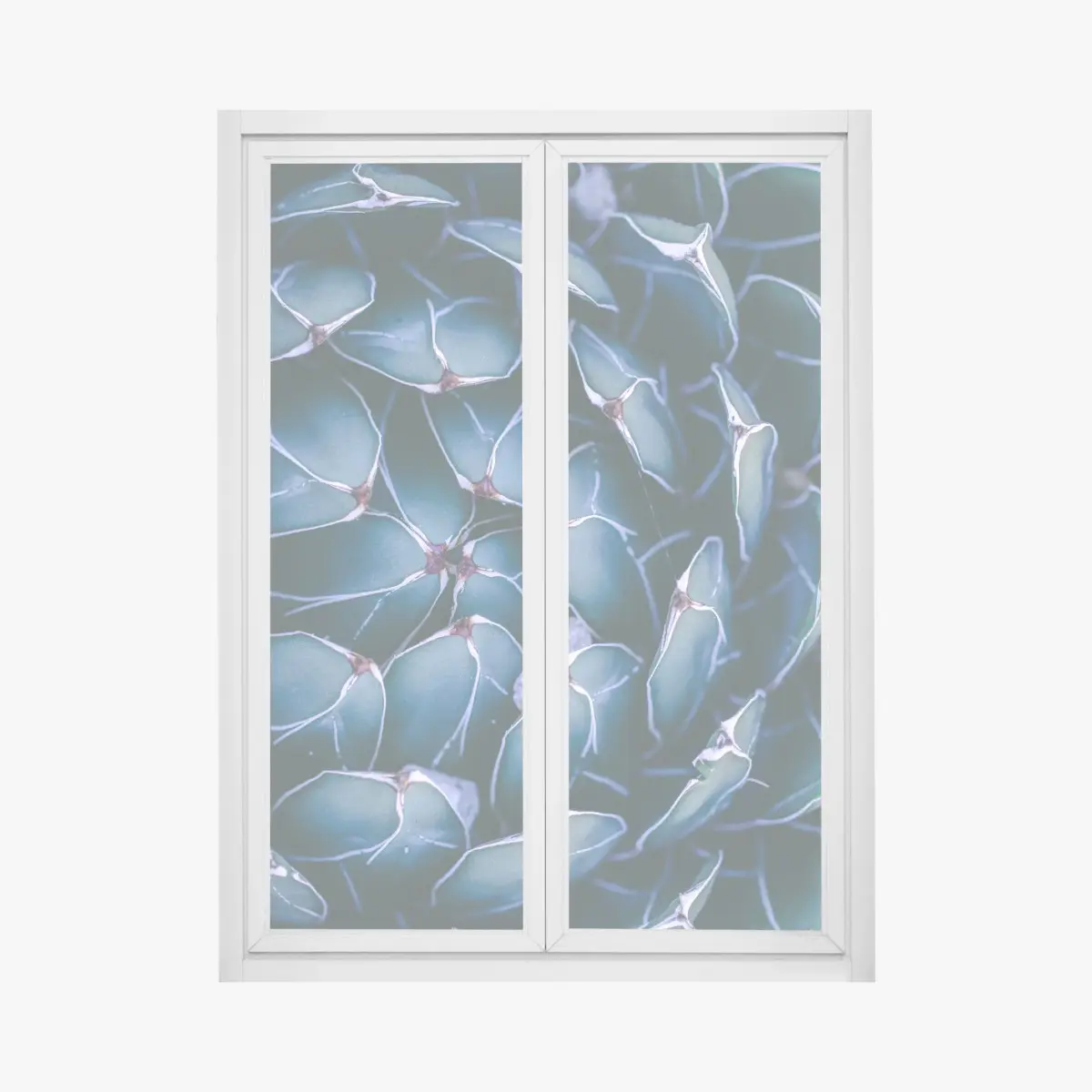 Fensteraufkleber geometrische makroaufnahme türkiser sukkulente – Pixers®