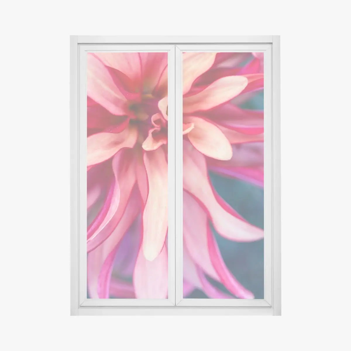 Fensteraufkleber vibrantes rosa blütenmakro – Pixers®