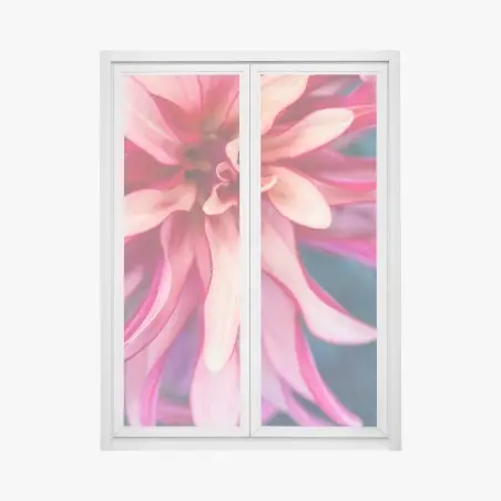Fensteraufkleber vibrantes rosa blütenmakro – Pixers®