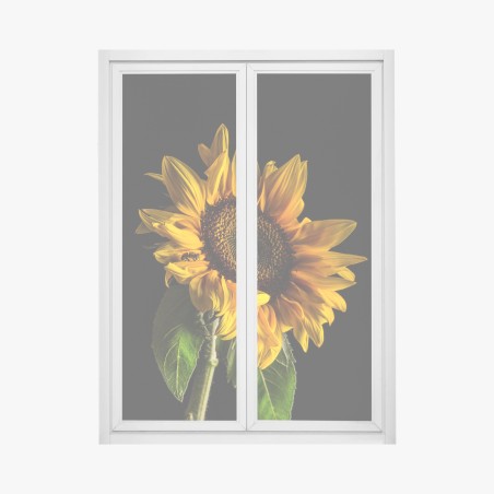 Fensteraufkleber goldene sonnenblume in nahaufnahme – Pixers®