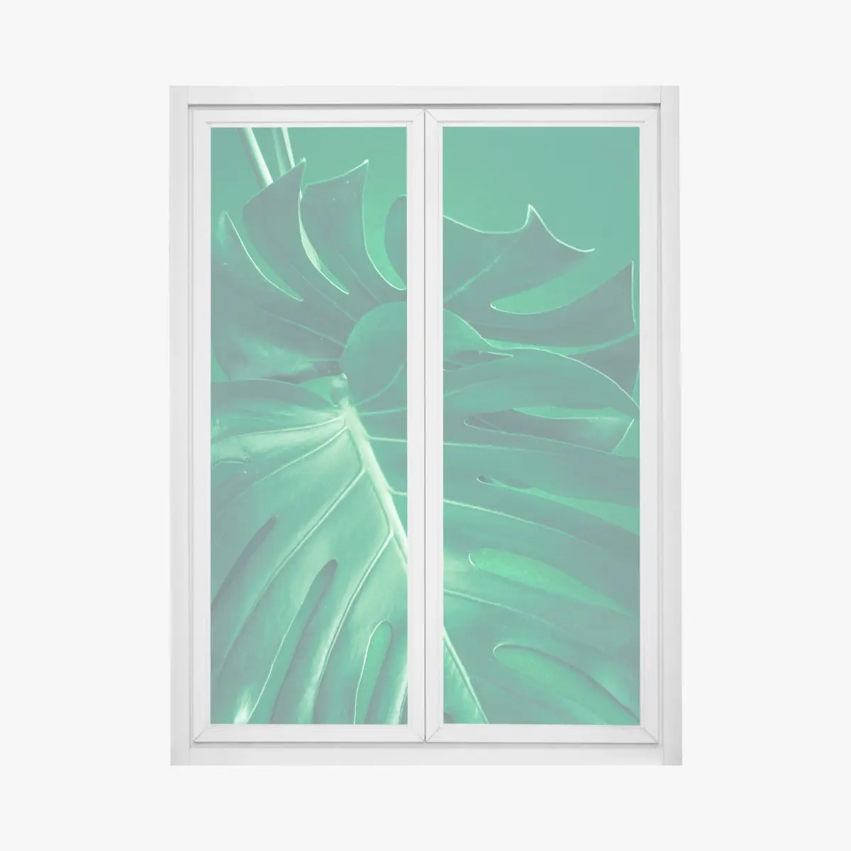 Fensteraufkleber prächtiges monstera-blatt nahaufnahme – Pixers®