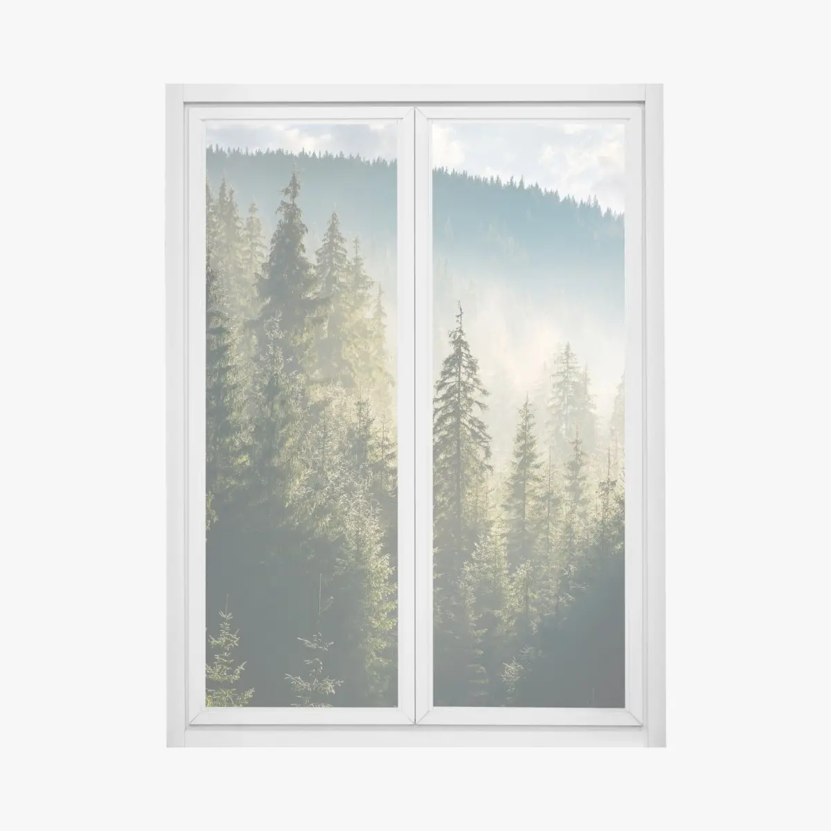 Fensteraufkleber nebliger fichtenwald im morgenlicht – Pixers®