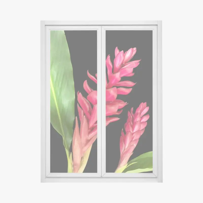 Fensteraufkleber leuchtende zier-ingwer-blüte auf schwarzem hintergrund