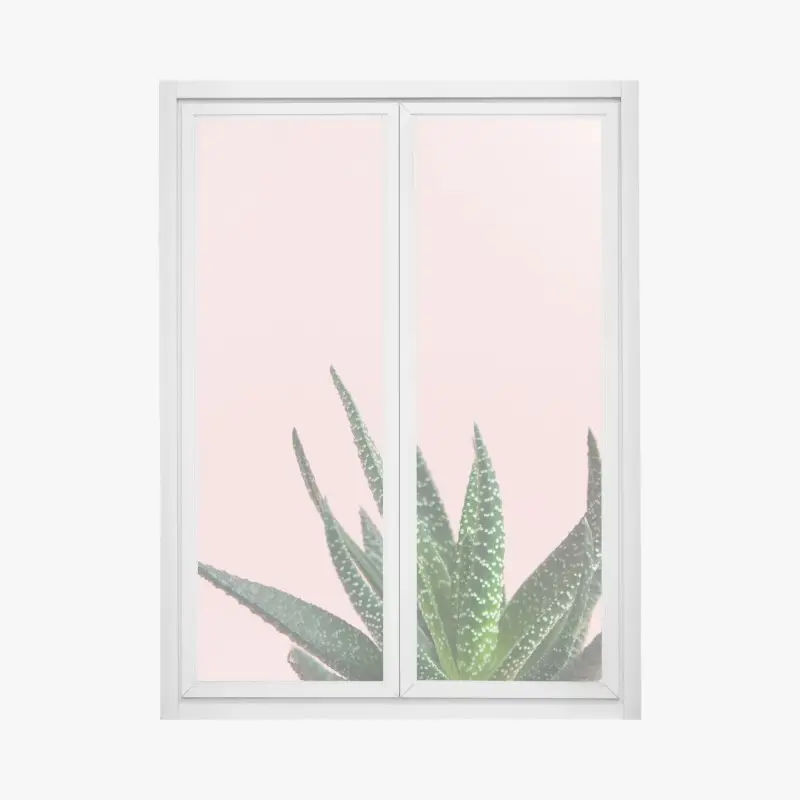 Fensteraufkleber grüner aloes auf rosa hintergrund