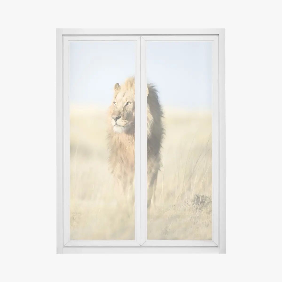 Fensteraufkleber majestätischer löwe in der steppe – Pixers®