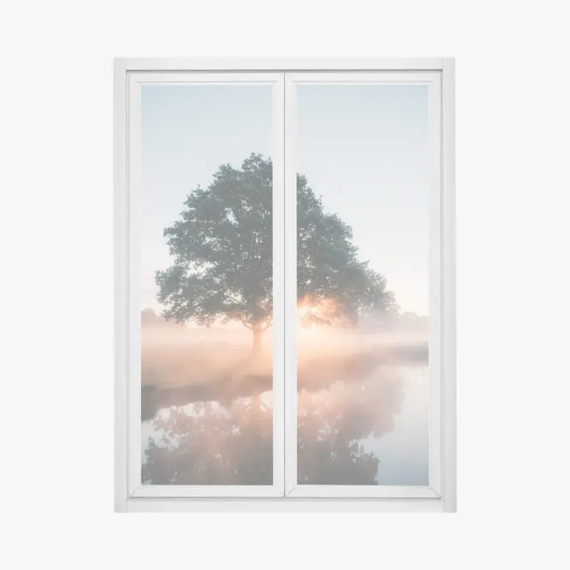 Fensteraufkleber nebeliger sonnenaufgang am eichenbaum