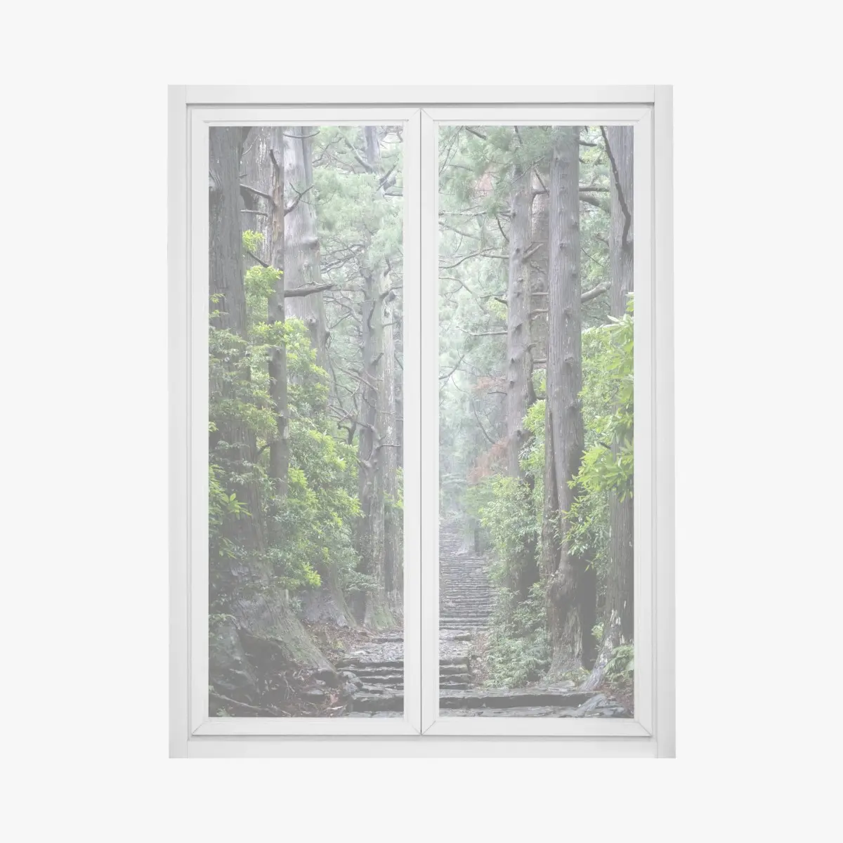 Fensteraufkleber mystischer waldweg zwischen alten bäumen – Pixers®