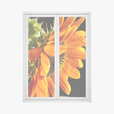 Fensteraufkleber leuchtende orange sonnenblume nahaufnahme – Pixers®