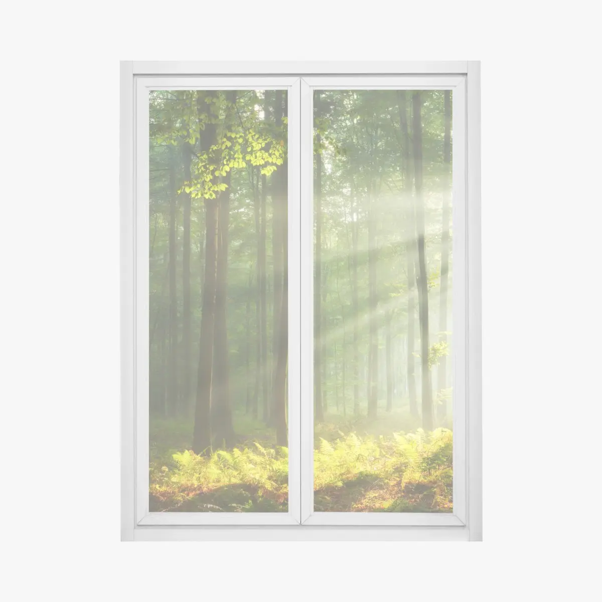 Fensteraufkleber sonniger morgenwald – Pixers®