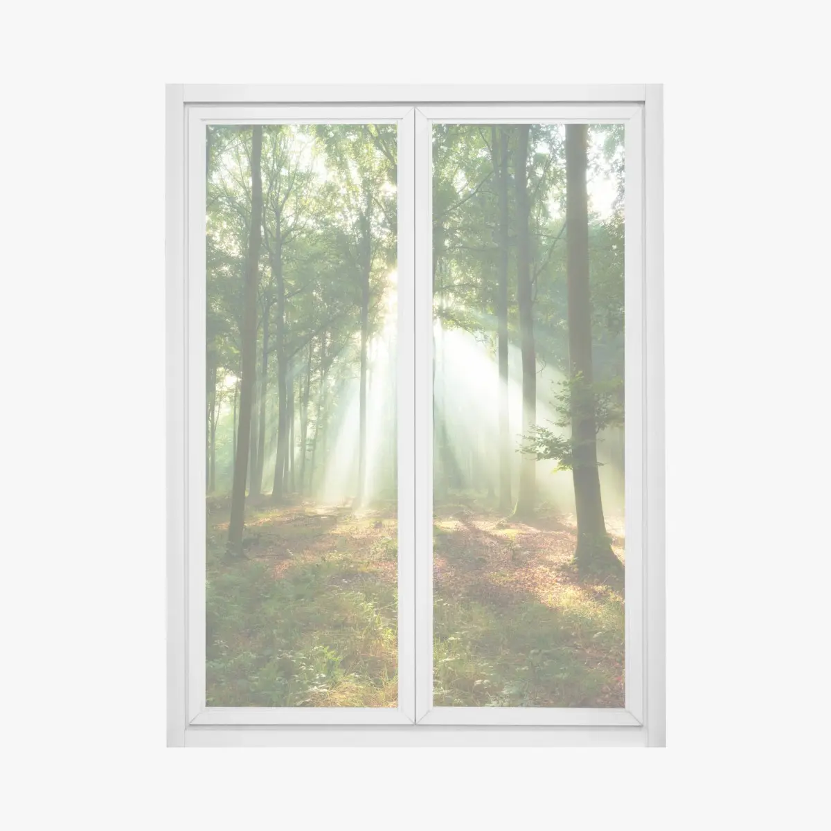 Fensteraufkleber morgendliches licht im wald – Pixers®
