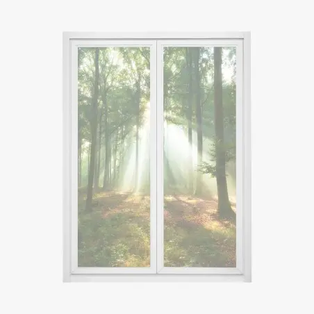 Fensteraufkleber morgendliches licht im wald – Pixers®