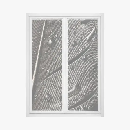 Fensteraufkleber monochrome feder mit wassertropfen – Pixers®