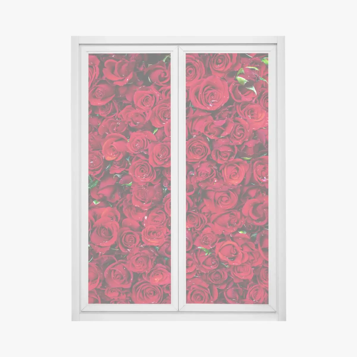Fensteraufkleber dichte wand aus roten rosen – Pixers®