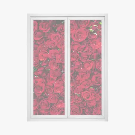 Fensteraufkleber dichte wand aus roten rosen – Pixers®