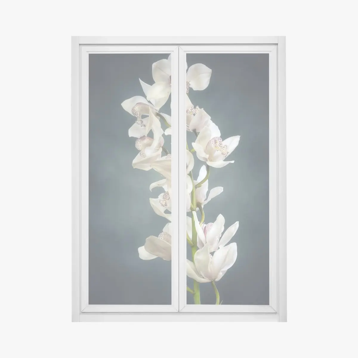 Fensteraufkleber zarte weiße orchideen vor gedämpftem hintergrund – Pixers®