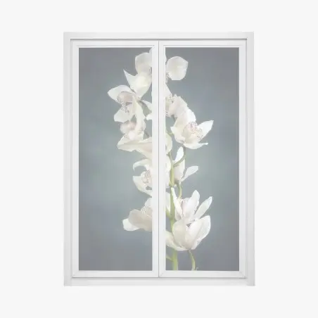 Fensteraufkleber zarte weiße orchideen vor gedämpftem hintergrund – Pixers®