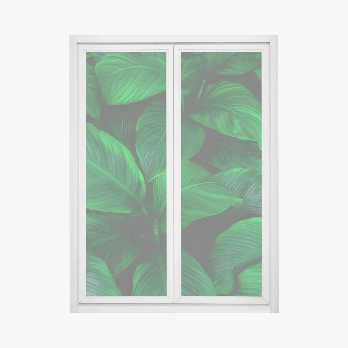 Fensteraufkleber üppige tropische blätter – Pixers®