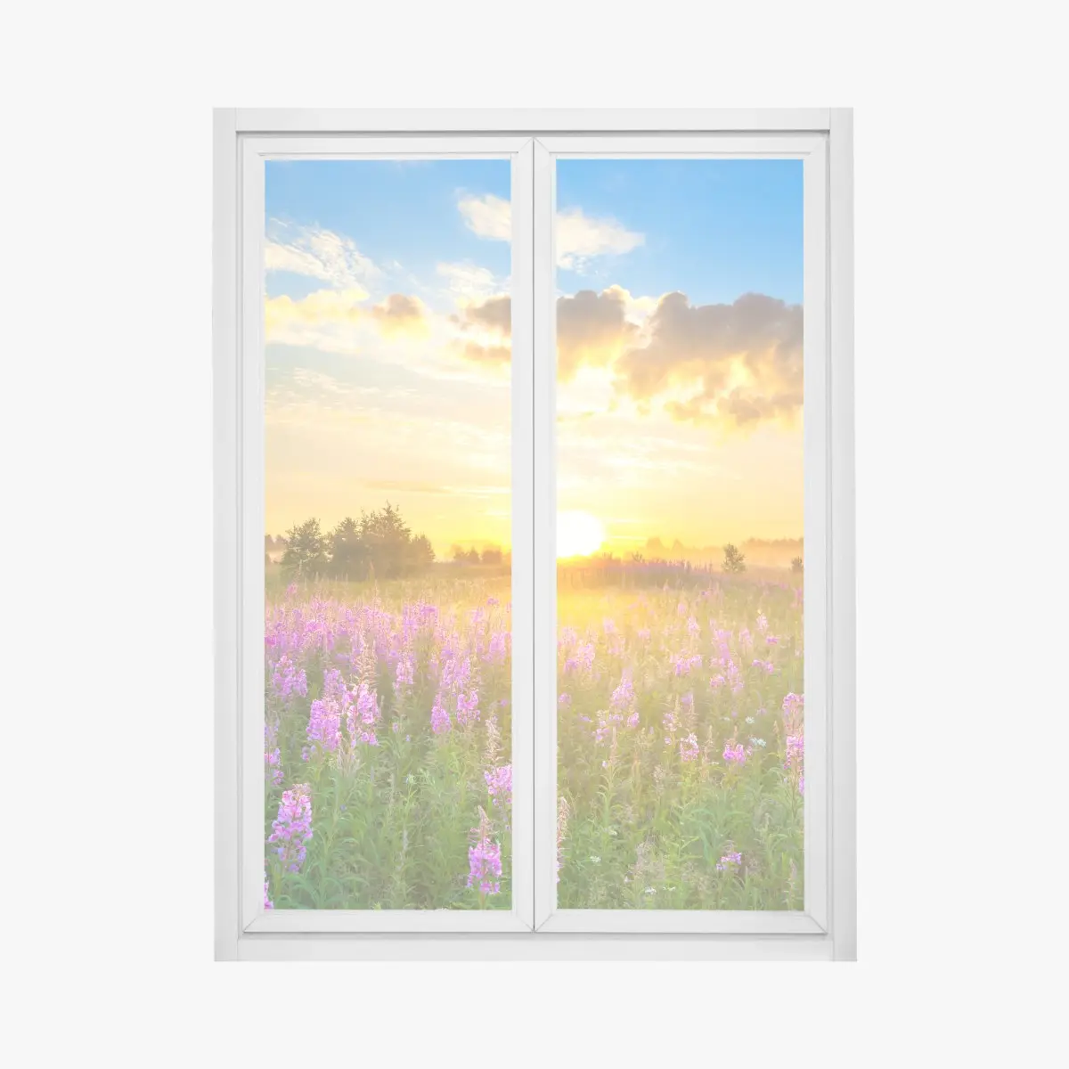 Fensteraufkleber sonnenaufgang über violetter wildblumenwiese – Pixers®