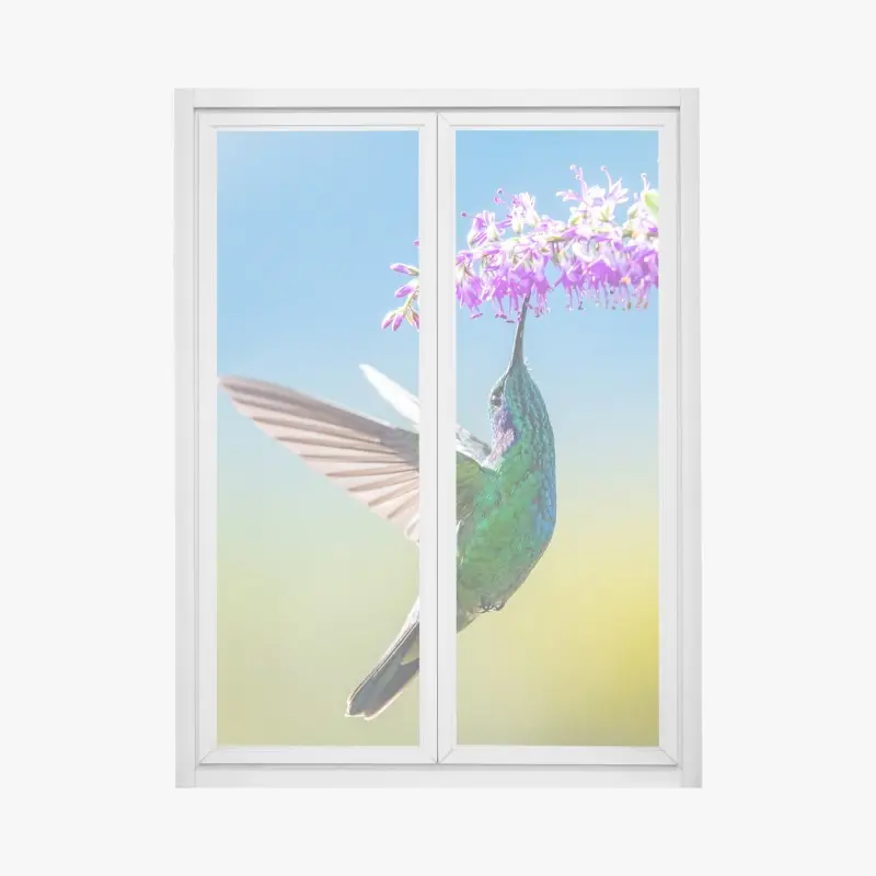 Fensteraufkleber kolibri an violetter blüte