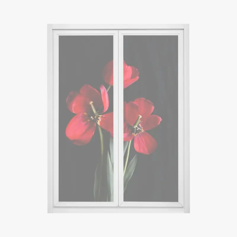 Fensteraufkleber drei rote tulpen vor schwarzem hintergrund