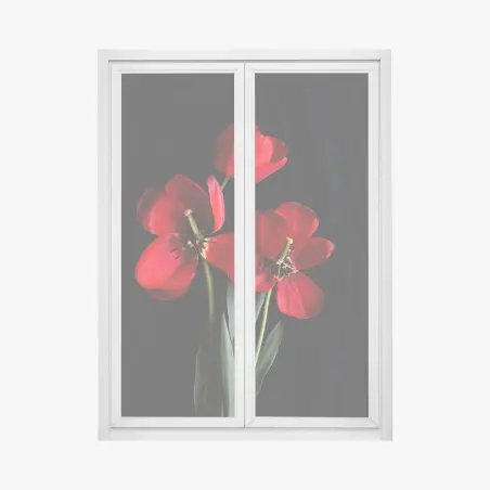 Fensteraufkleber drei rote tulpen vor schwarzem hintergrund – Pixers®