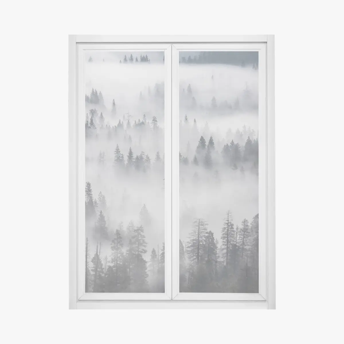 Fensteraufkleber nebeliger kiefernwald – Pixers®