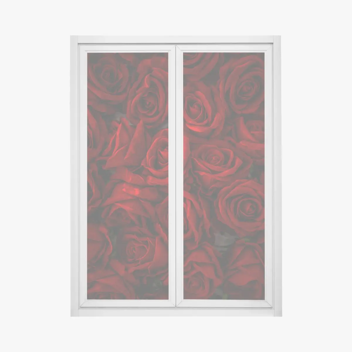 Fensteraufkleber intensive rote rosen nahaufnahme – Pixers®