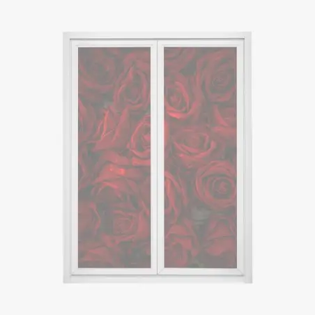 Fensteraufkleber intensive rote rosen nahaufnahme – Pixers®