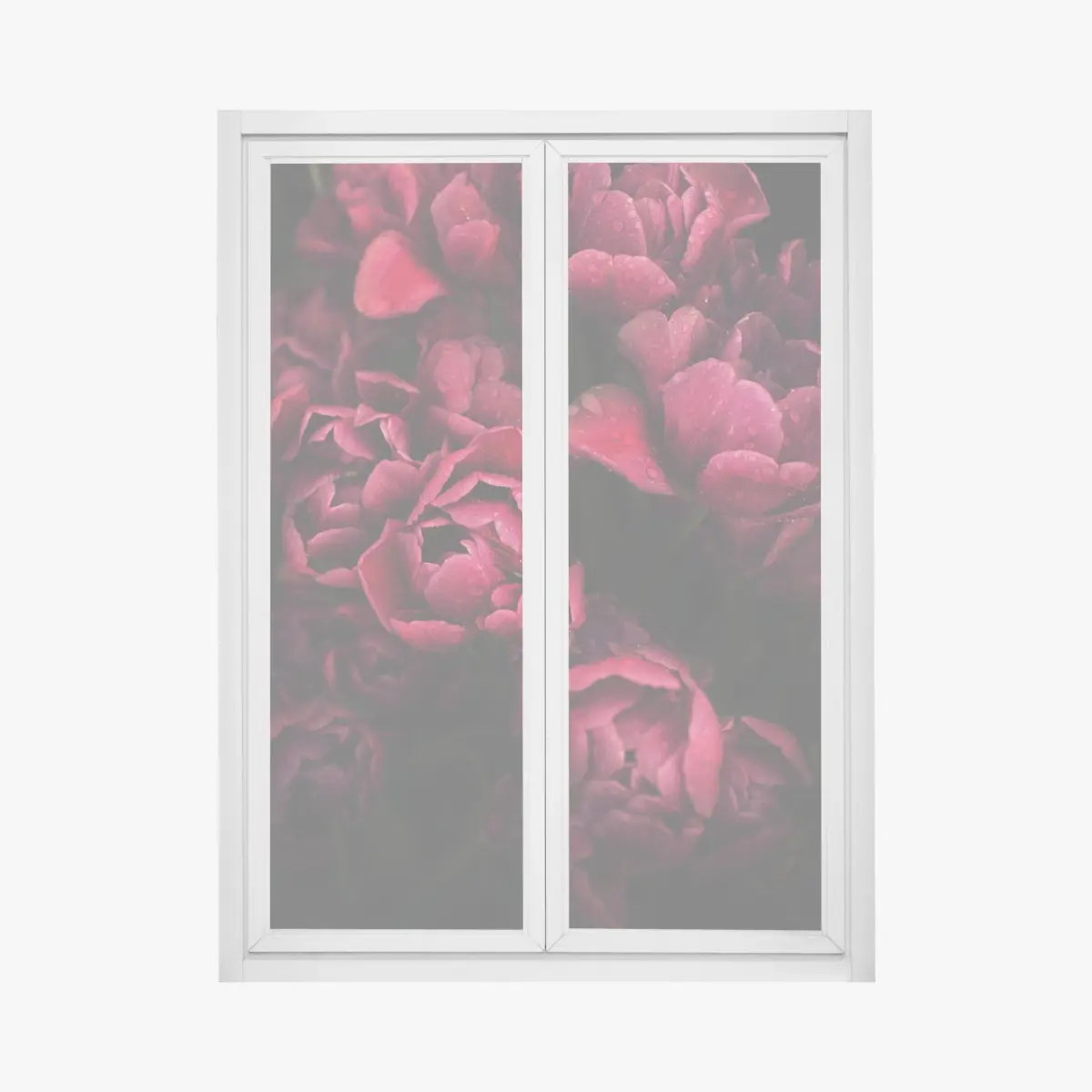 Fensteraufkleber tiefrote blüten mit wassertropfen – Pixers®