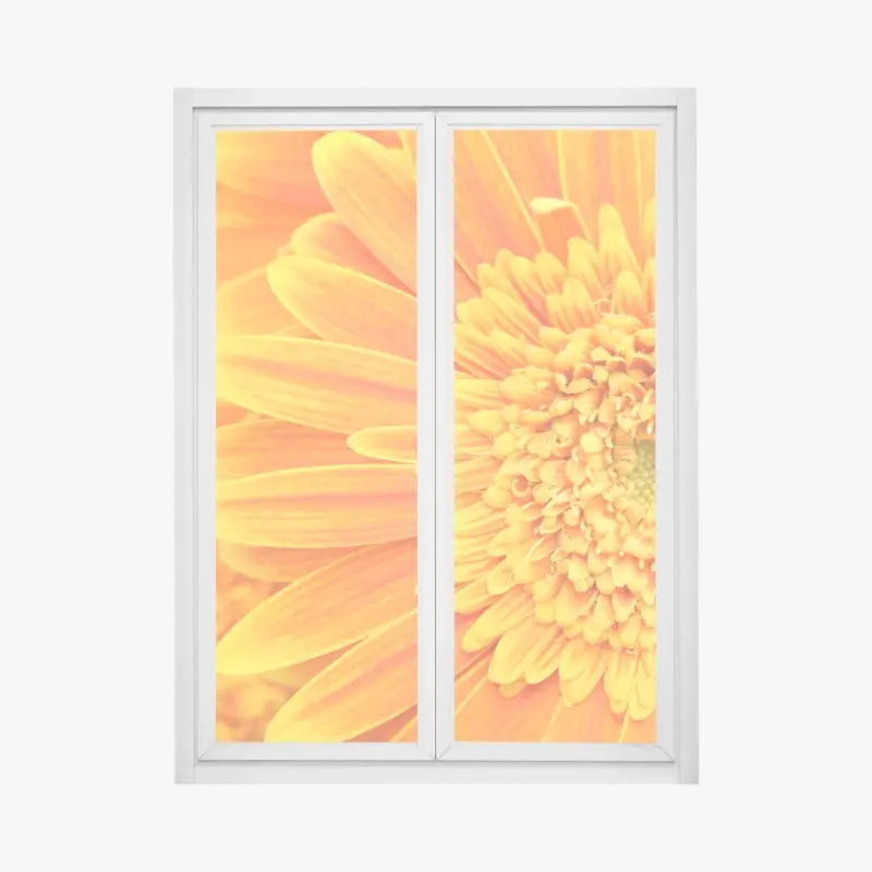 Fensteraufkleber leuchtende orange gerbera in makro