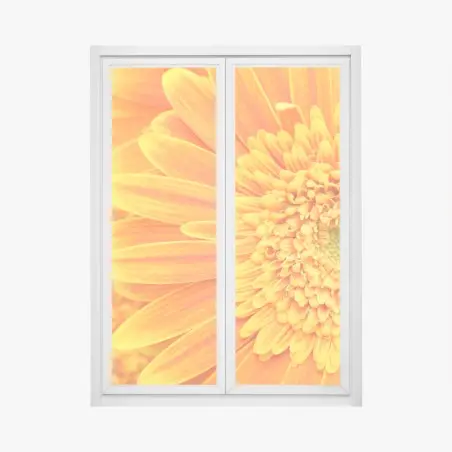 Fensteraufkleber leuchtende orange gerbera in makro – Pixers®