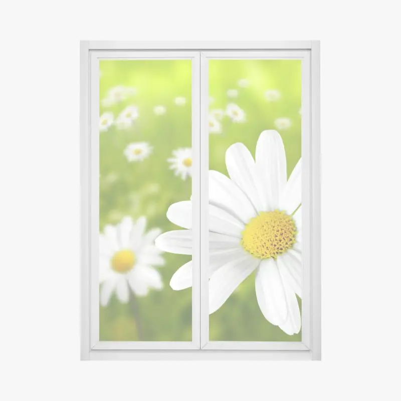 Fensteraufkleber weiße gänseblümchen auf der wiese