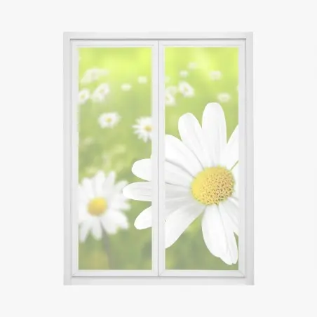 Fensteraufkleber weiße gänseblümchen auf der wiese – Pixers®