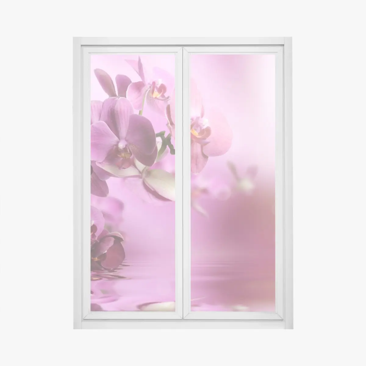 Fensteraufkleber rosa orchideen spiegelung – Pixers®