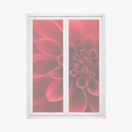 Fensteraufkleber nahaufnahme einer roten dahlie – Pixers®