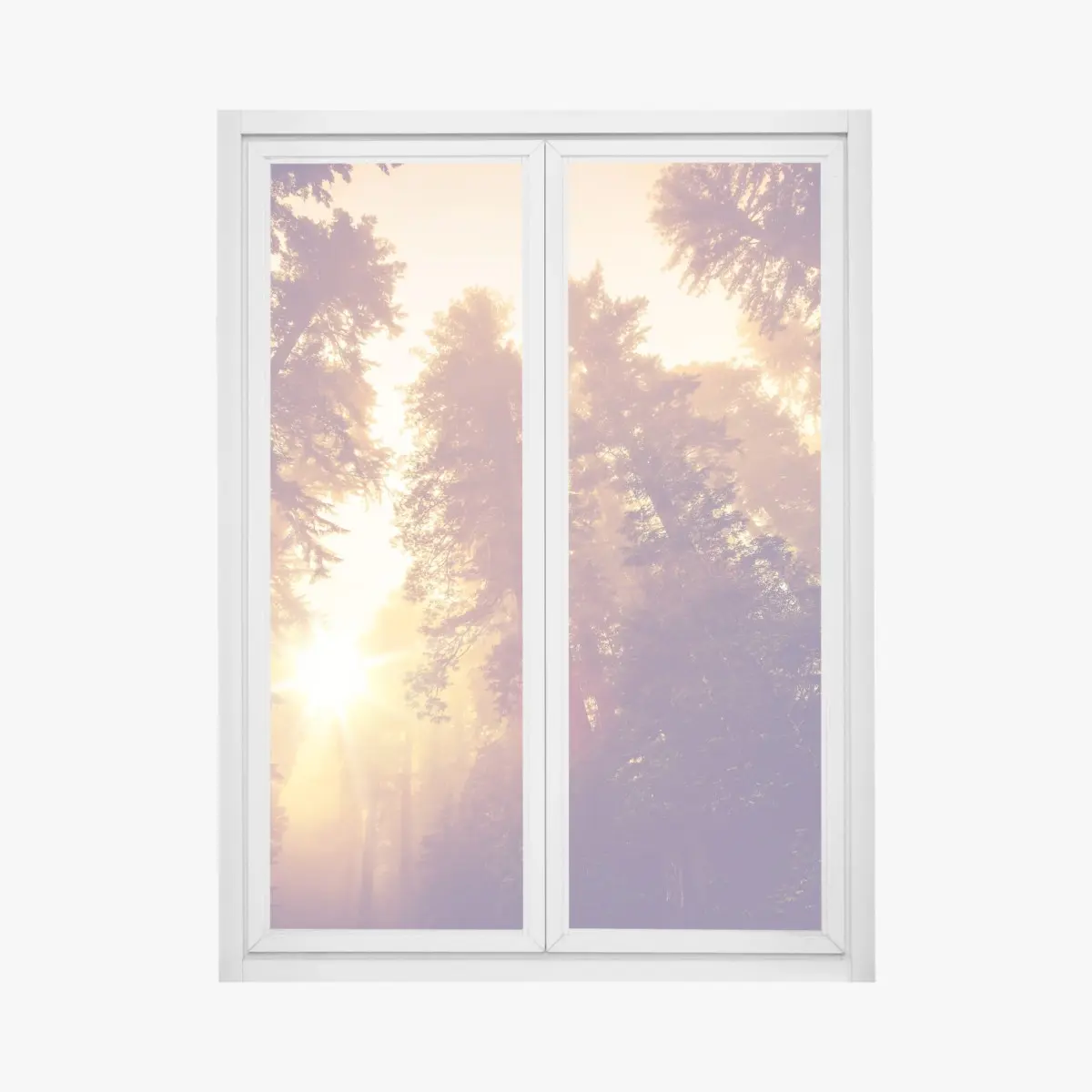Fensteraufkleber nebeliger mamutbaumwald im goldenen vintagelicht – Pixers®