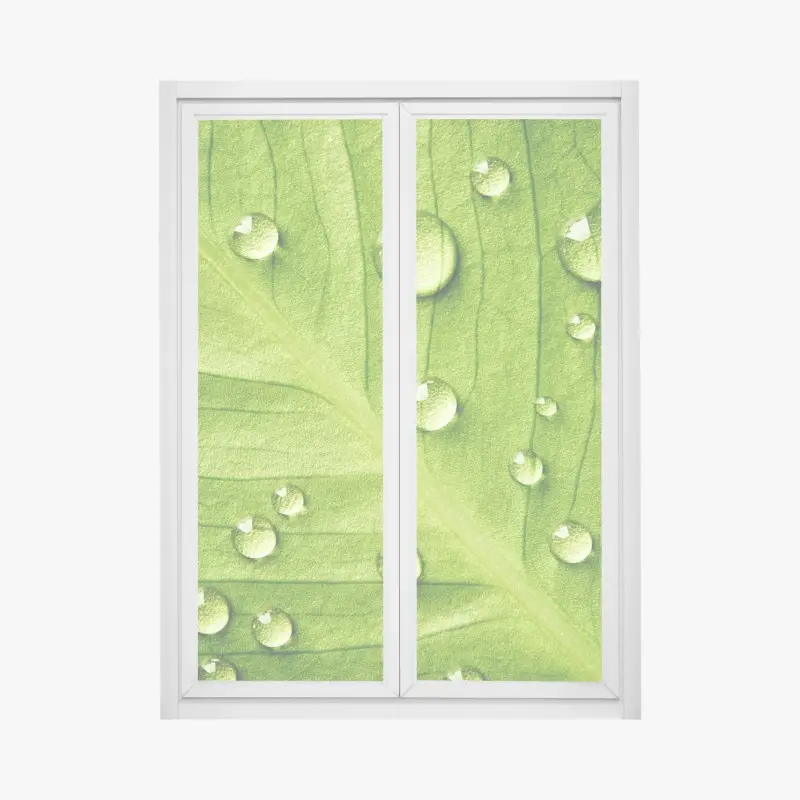 Fensteraufkleber frisches grünes blatt mit wassertropfen