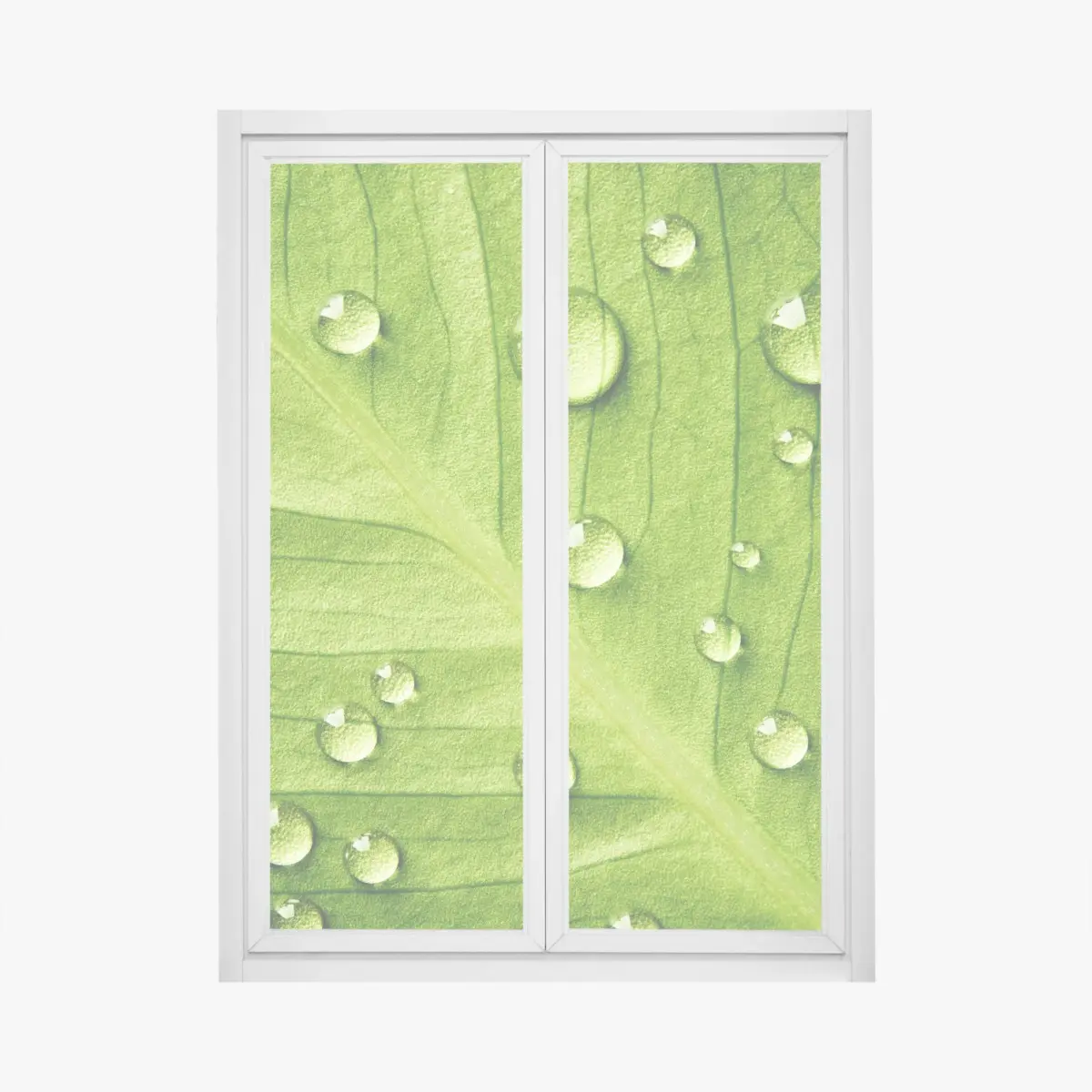 Fensteraufkleber frisches grünes blatt mit wassertropfen – Pixers®
