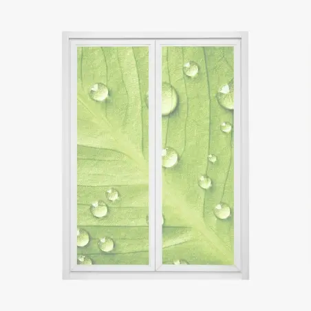 Fensteraufkleber frisches grünes blatt mit wassertropfen – Pixers®