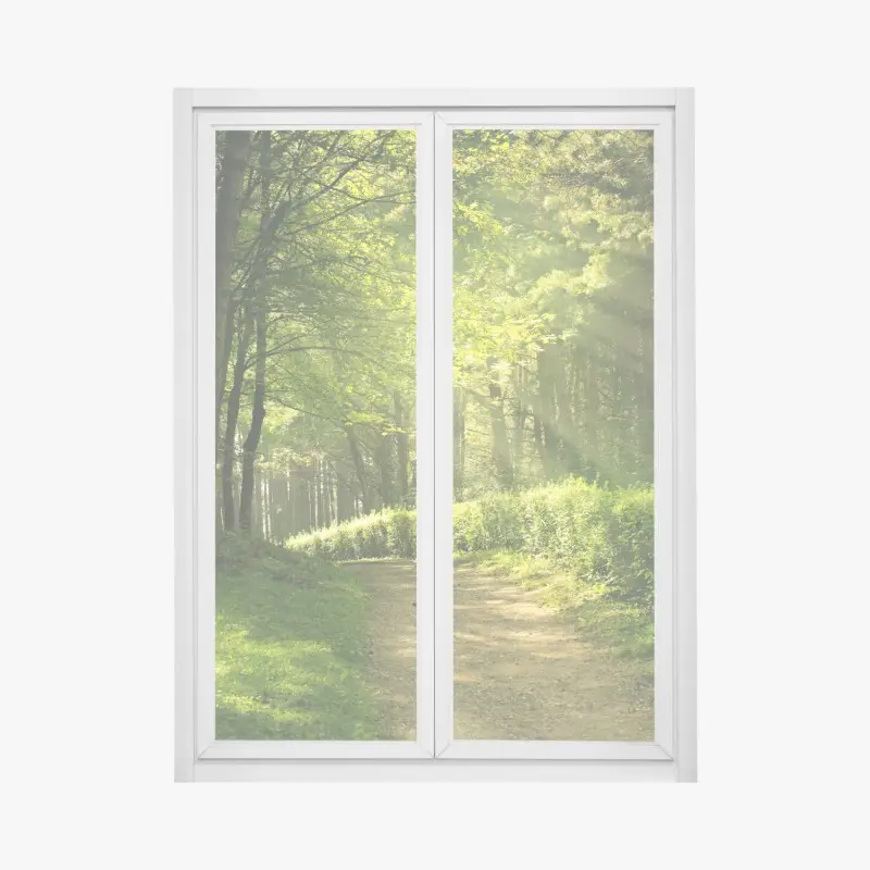 Fensteraufkleber sonnenbeschienener waldpfad im grünen