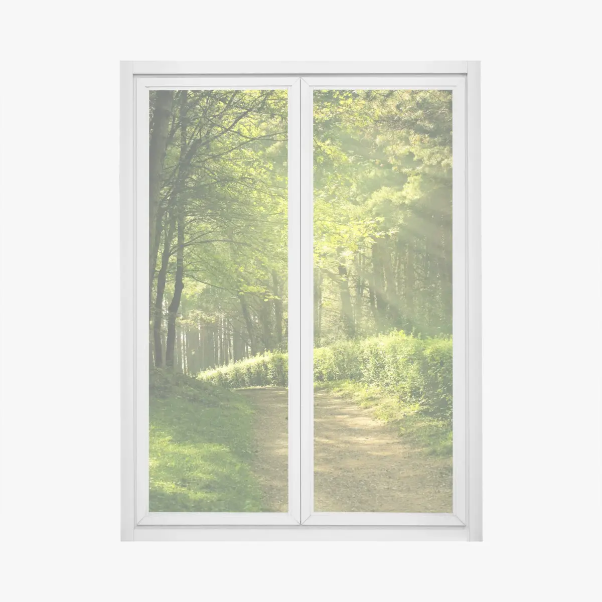 Fensteraufkleber sonnenbeschienener waldpfad im grünen – Pixers®