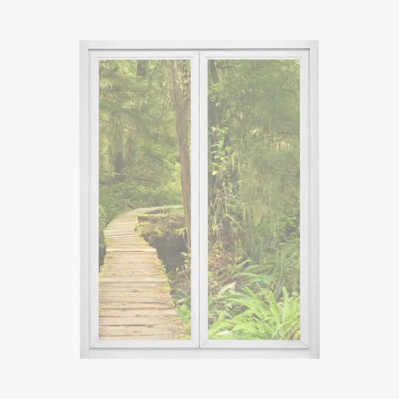 Fensteraufkleber steg im Pacific Rim regenwald
