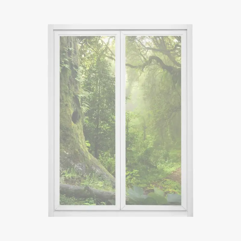 Fensteraufkleber moosiger alter waldpfad