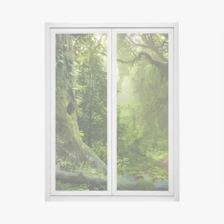 Fensteraufkleber moosiger alter waldpfad – Pixers®