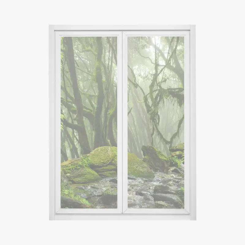 Fensteraufkleber moosiger wald mit bach im nebel