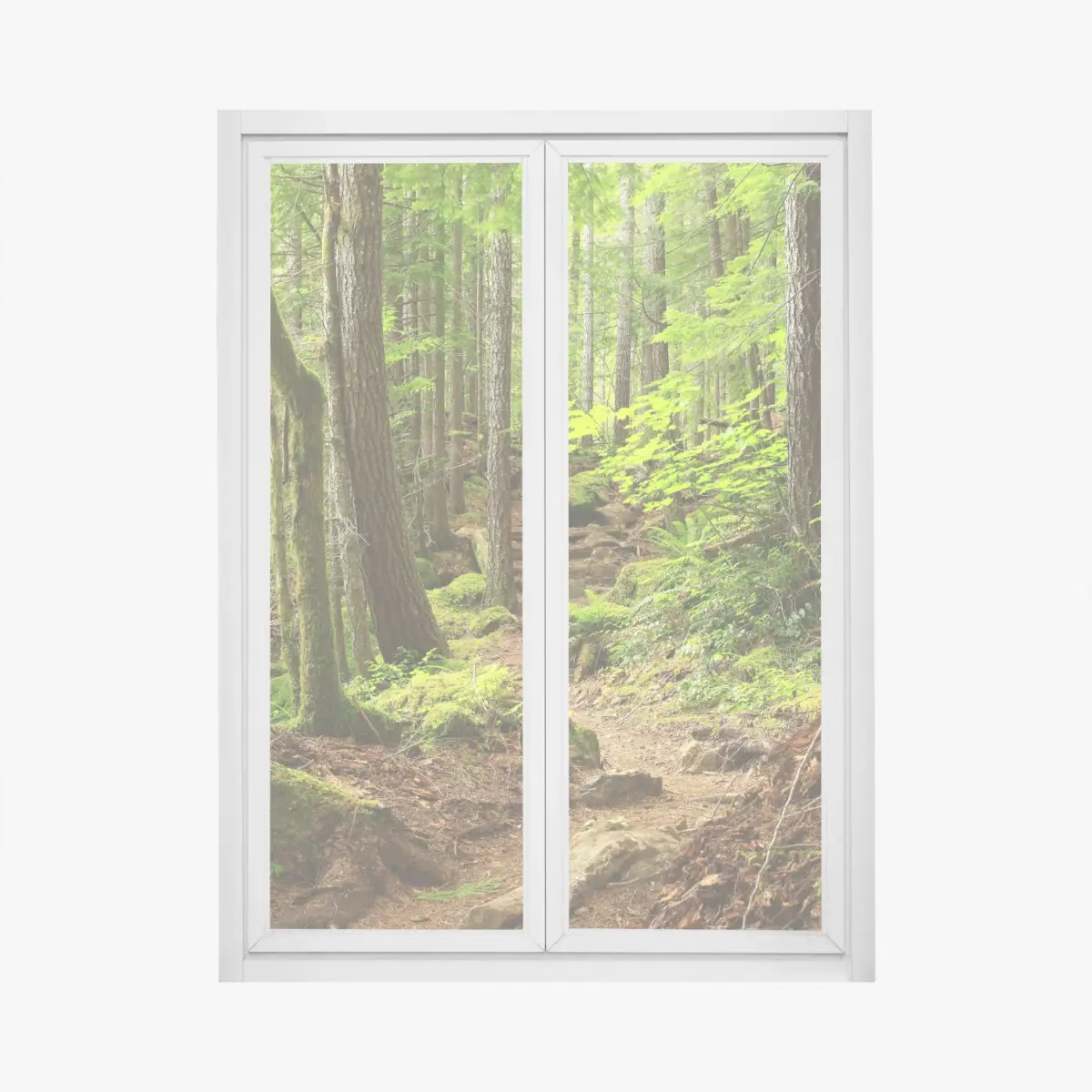 Fensteraufkleber moosiger waldpfad – Pixers®
