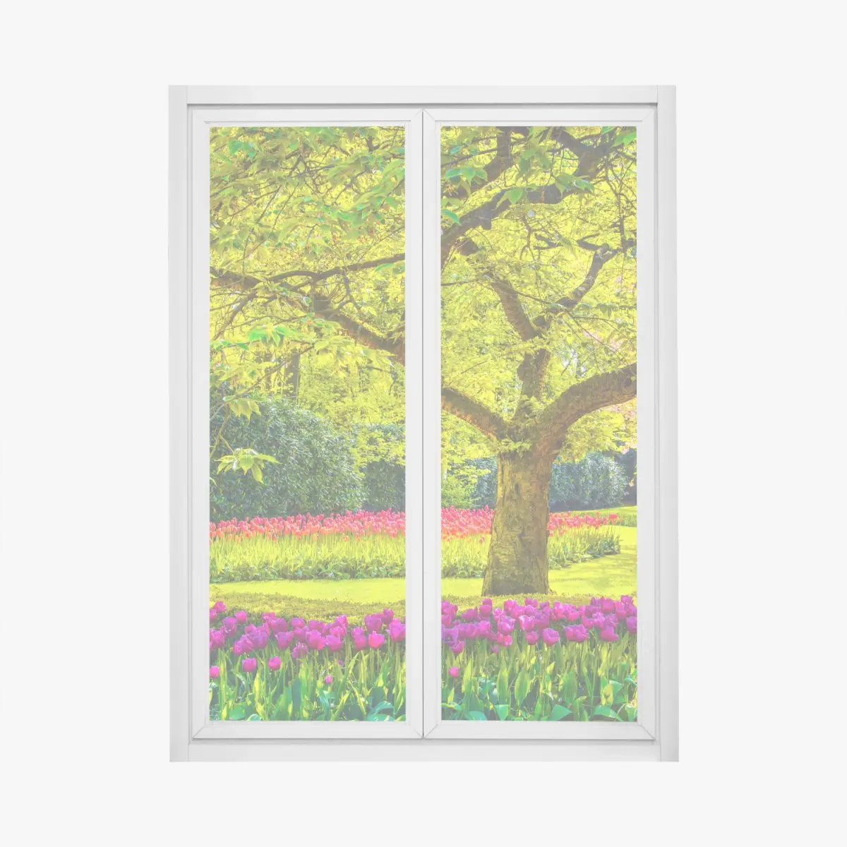 Fensteraufkleber bunter tulpengarten in Keukenhof – Pixers®